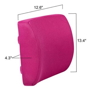 LOVEHOME Lumbar Support Pillow for Chair and Car, Back Support for Office Chair Memory Foam Cushion with Mesh Cover for Back Pain Relief - Pink