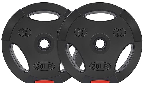 Signature Fitness 100LBS Vinyl Standard 1-Inch Plate Weight Plate for Strength Training and Weightlifting