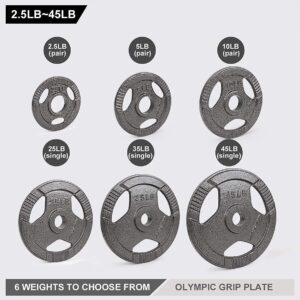 LIONSCOOL 2-Inch Olympic Grip Plate in Pairs or Single (10LB PAIR)