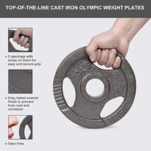 LIONSCOOL 2-Inch Olympic Grip Plate in Pairs or Single (10LB PAIR)