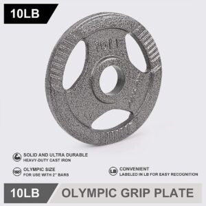 LIONSCOOL 2-Inch Olympic Grip Plate in Pairs or Single (10LB PAIR)