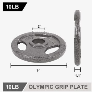 LIONSCOOL 2-Inch Olympic Grip Plate in Pairs or Single (10LB PAIR)