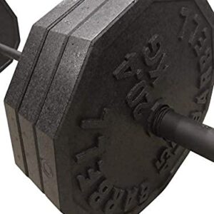 Fake Weights - Replica Weight Plates Prop Set, Styrofoam Olympic Style 45 lb Barbell Barbell Bar Sold Separately. Foam Weights, Light Weights, Props Jokes