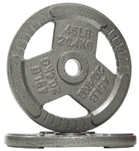sporzon! powergainz olympic 2-inch cast iron plate weight plate for strength training and weightlifting, gray pog-2inip-45x2