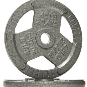 Sporzon! Powergainz Olympic 2-Inch Cast Iron Plate Weight Plate for Strength Training and Weightlifting, Gray POG-2INIP-45X2