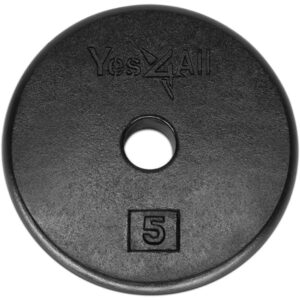 Yes4All 1-inch Cast Iron Weight Plates for Dumbbells – Standard Weight Disc Plates (5 lbs, Single)