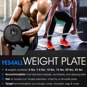 Yes4All 1-inch Cast Iron Weight Plates for Dumbbells – Standard Weight Disc Plates (5 lbs, Single)