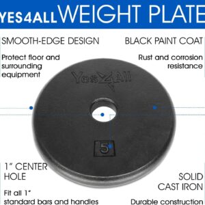 Yes4All 1-inch Cast Iron Weight Plates for Dumbbells – Standard Weight Disc Plates (5 lbs, Single)