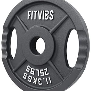 Signature Fitness Cast Iron Plate Weight Plate for Strength Training and Weightlifting, 2-Inch Center (Olympic), 25LB (Single)