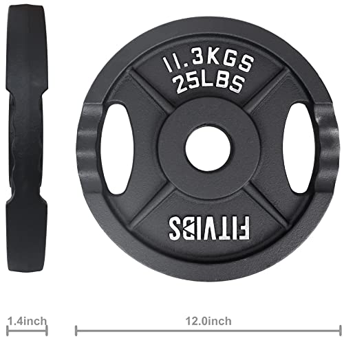 Signature Fitness Cast Iron Plate Weight Plate for Strength Training and Weightlifting, 2-Inch Center (Olympic), 25LB (Single)