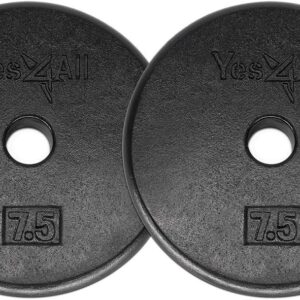 Yes4All 1-inch Cast Iron Weight Plates for Dumbbells – Standard Weight Disc Plates, 7.5 Pound (Pack of 2)