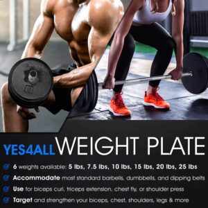 Yes4All 1-inch Cast Iron Weight Plates for Dumbbells – Standard Weight Disc Plates, 7.5 Pound (Pack of 2)