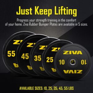 ZIVA Rubber Bumper Weight Plate - One Piece 10 lbs. Strength Training Plate - Fits 2” Olympic Bars - Precision-Calibrated Iron Weight, Ultra Durable Premium Virgin Rubber Coating - Low Bounce (10)