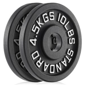 Philosophy Gym Set of 2 Standard Cast Iron Olympic 2-inch Weight Plates (10 LB each)