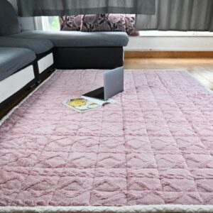 Beyeutao Pink Large Area Rugs for Bedroom Living Room 4x6.6 Feet Velvet Fluffy Rug Non-Skid Rug Large Shaggy Carpets Mattress Pad Kids Play Carpets Bedside Rug Home Decor.