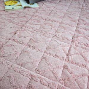 Beyeutao Pink Large Area Rugs for Bedroom Living Room 4x6.6 Feet Velvet Fluffy Rug Non-Skid Rug Large Shaggy Carpets Mattress Pad Kids Play Carpets Bedside Rug Home Decor.