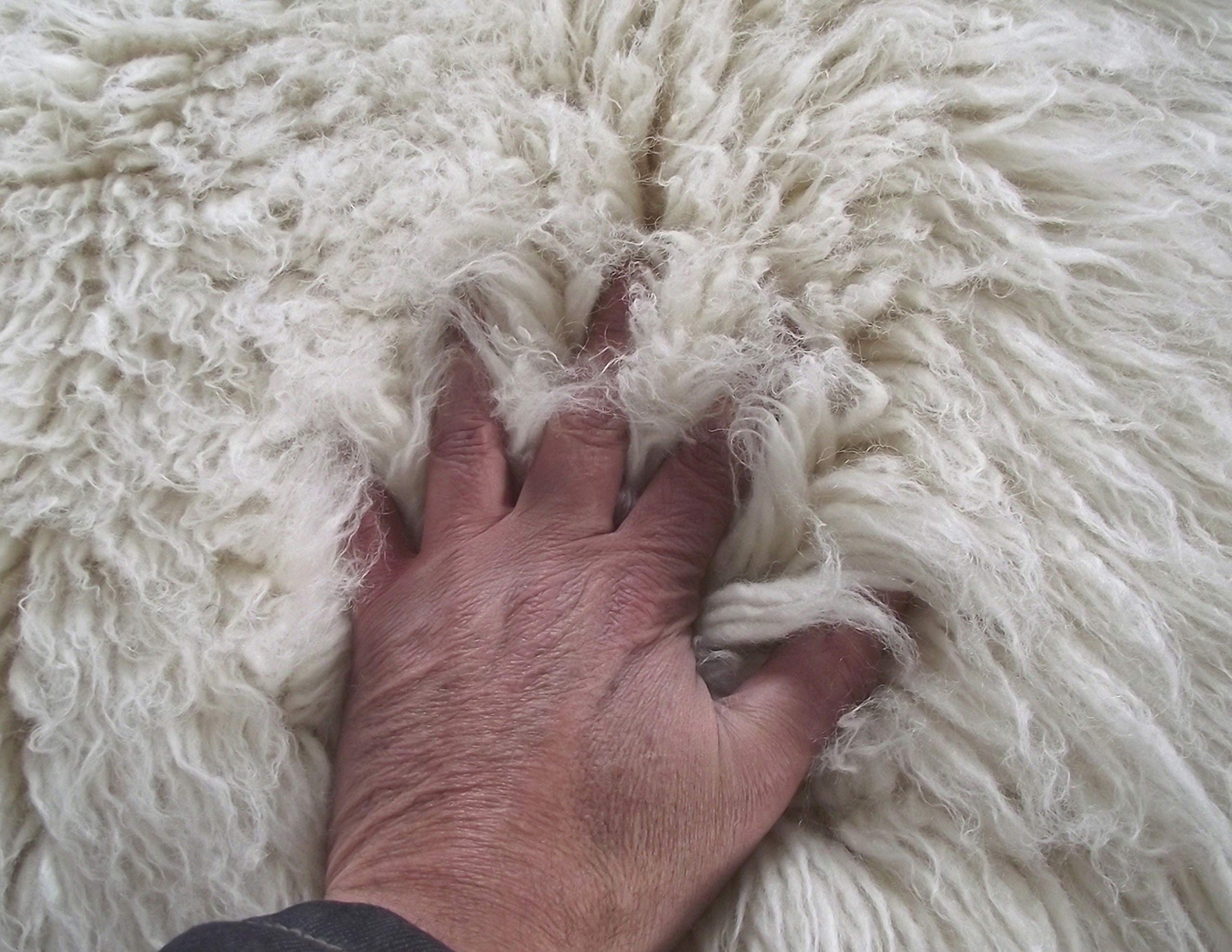 Super Plush Flokati Rugs in Popular Sizes | Plush 3000gsm Weight | Soft and Fluffy 3.5" Pile | Excellent Quality | 100% Organic Wool | Shaggy Wool Off White Area Rug (9' x 12')