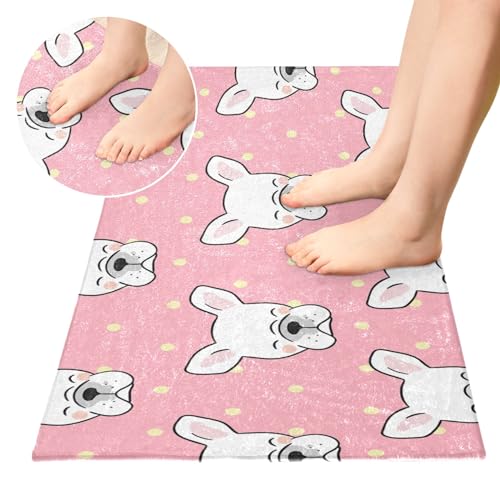 Fluffy Floor Carpet-French Bulldog-39x20in Front Door Mat Indoor Machine Washable Carpet,Aesthetic Rug