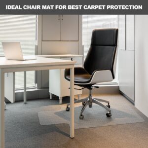 Chair Mat for Carpet- Low Pile (1/4" Thick) Carpet Protector for Office Gaming Desk Chair. Heavy Duty Desk Chair Mat for Carpeted Floors (for Carpet Floor, with Lip-47.5" x 35.5")