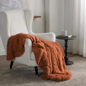 Bedsure Faux Fur Burnt Orange Throw Blanket – Fuzzy, Fluffy, Shaggy Orange Blanket, Soft and Thick Sherpa, Cozy Warm Fall Blanket, Autumn Throw Blankets for Couch, Sofa, Bed, 50x60 Inches, 640 GSM