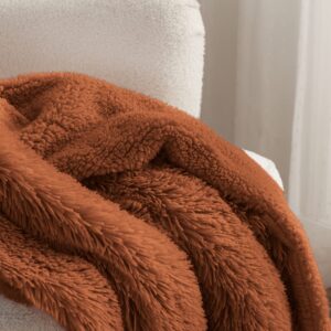 Bedsure Faux Fur Burnt Orange Throw Blanket – Fuzzy, Fluffy, Shaggy Orange Blanket, Soft and Thick Sherpa, Cozy Warm Fall Blanket, Autumn Throw Blankets for Couch, Sofa, Bed, 50x60 Inches, 640 GSM