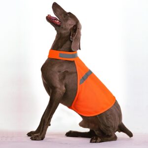 Dog Jacket High Visibility Safety Reflective Dog Vest for Small Medium Large Dogs (Large, Orange)