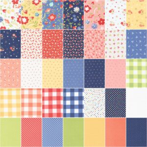 Corey Yoder Sunwashed Jelly Roll 40 2.5-inch Strips Moda Fabrics 29160JR