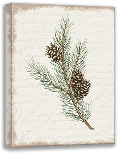 ArtDirect Pine Cone Botanical II 15x18 Gallery Wrapped Canvas Museum Art by Jacobs, Cindy