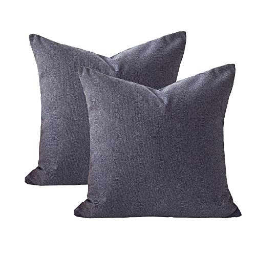 Homey COZY 20x20 Chenille Indoor/Outdoor Accent Pillow (Set of 2), Gray 2 Count