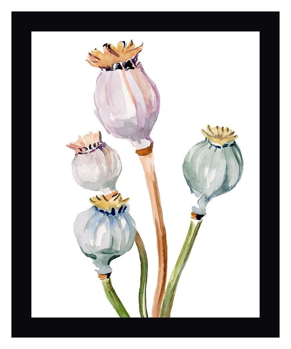 Watercolor Poppy Pods II by Jennifer Paxton Parker - 30" x 36" Framed Canvas Art Print - Black Frame - Ready to Hang