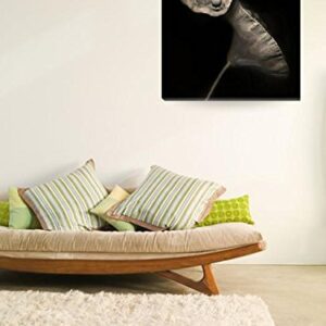 Imagekind Wall Art Print Entitled Lotus Pods II by Dawn Leblanc | 16 x 21