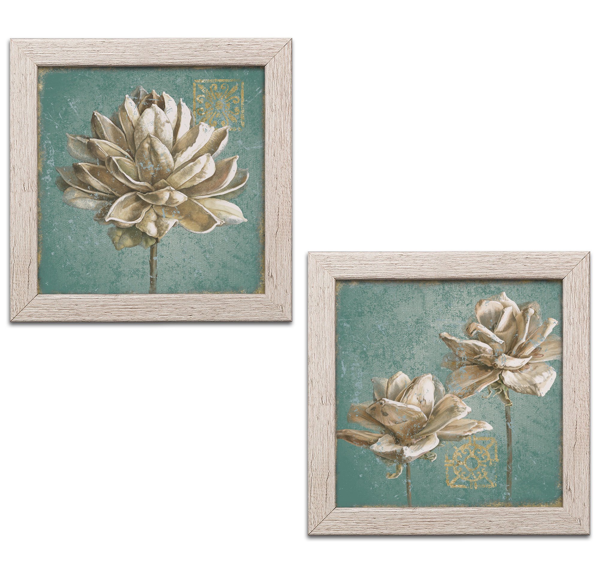 Gango Home Decor Contemporary Seed Pod I & II no Words Turquoise by Beth Grove (Ready to Hang); Two 12x12in Distressed Framed Prints