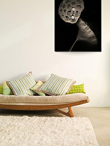 Imagekind Wall Art Print Entitled Lotus Pods II by Dawn Leblanc | 24 x 31