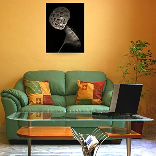 Imagekind Wall Art Print Entitled Lotus Pods II by Dawn Leblanc | 24 x 31