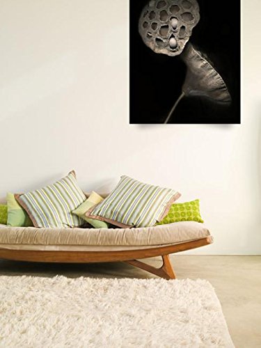 Imagekind Wall Art Print entitled Lotus Pods II by Dawn Leblanc | 36 x 47