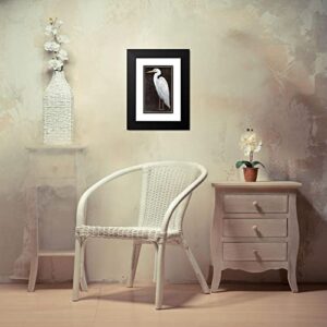 ArtDirect White Heron Portrait II 12x18 Black Modern Wood Framed with Double Matting Museum Art Print by OToole, Tim