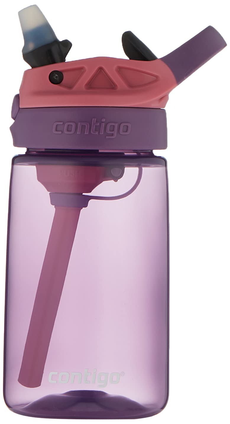 Contigo CLEANABLE 14OZ PP Eggplant Punch Waterbottle