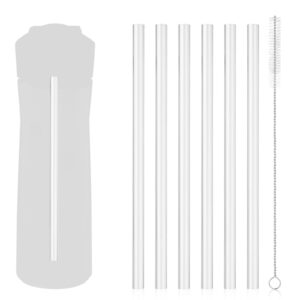 6pcs Replacement Straws, Reusable Straws with Cleaning Brush Replacement Straw Set Compatible with Contigo Ashland 2.0 24oz