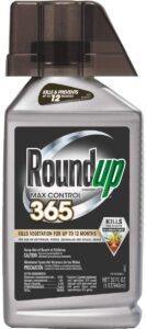 roundup concentrate max control 365 vegetation killer, 32 oz.