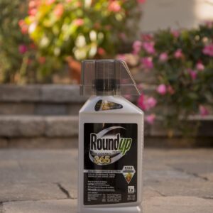 Roundup Concentrate Max Control 365 Vegetation Killer, 32 oz.