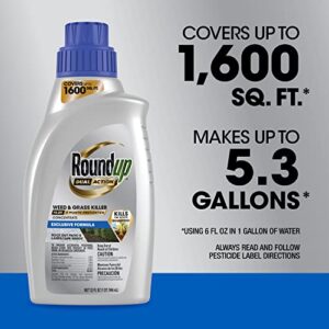 Roundup Dual Action Weed & Grass Killer Plus 4 Month Preventer Concentrate, 32 fl. oz.