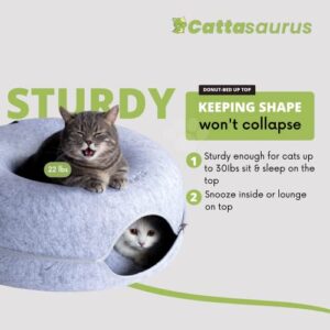 CATTASAURUS Peekaboo Cat Cave for Multiple & Large Cats Up to 30 Lbs, Scratch Detachable & Washable Tunnel Bed (Light Gray, Large)