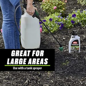 Ortho GroundClear Weed & Grass Killer2, Concentrate, Quickly Kills Crabgrass, Dandelions, and More, 32 fl. oz.