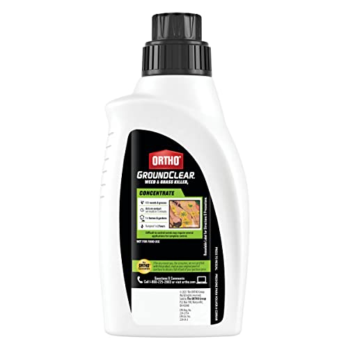 Ortho GroundClear Weed & Grass Killer2, Concentrate, Quickly Kills Crabgrass, Dandelions, and More, 32 fl. oz.
