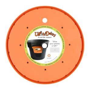 bloem ups-a-daisy round planter insert: 12" - orange - durable resin disk, drainage holes, place inside a planter, use less potting soil, for indoor & outdoor use, gardening