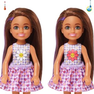 Barbie Color Reveal Small Doll & Accessories, Picnic Series, 6 Surprises, 1 Chelsea Doll (Styles May Vary)