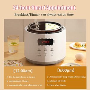 Rice Cooker for 1-3 Person, Slow Cooker, 2.5 Litre, Spherical Non-Stick Liner, 10 Rice Cooking Functions, LED Display, US/UK/EU Power