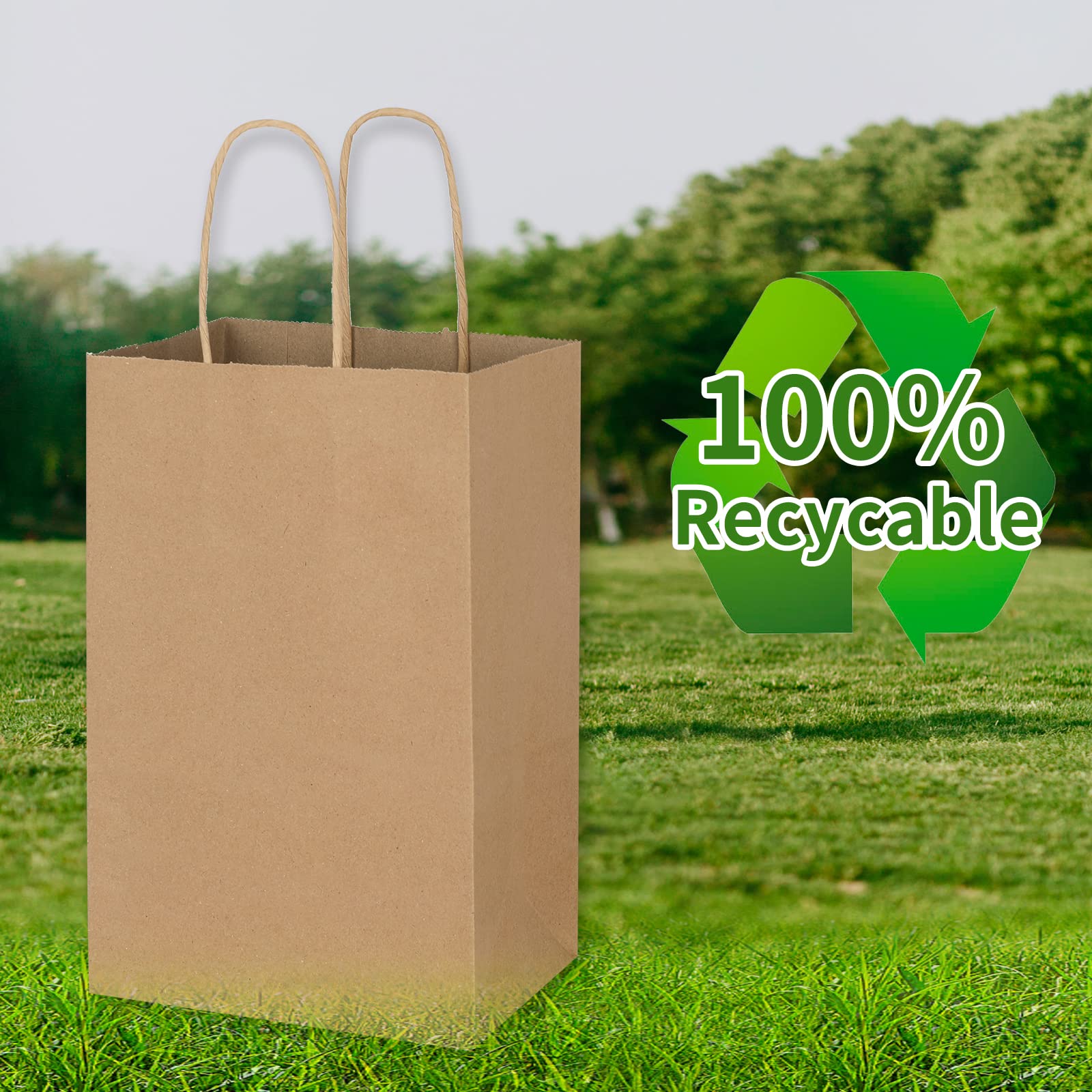 Toovip 100 Pack 5.25x3.25x8.25 Inch Small Plain Brown Kraft Paper Bags with Handles Bulk, Gift Bags for Favor Grocery Retail Party Birthday Shopping Business Goody Craft Merchandise Take Out Sacks
