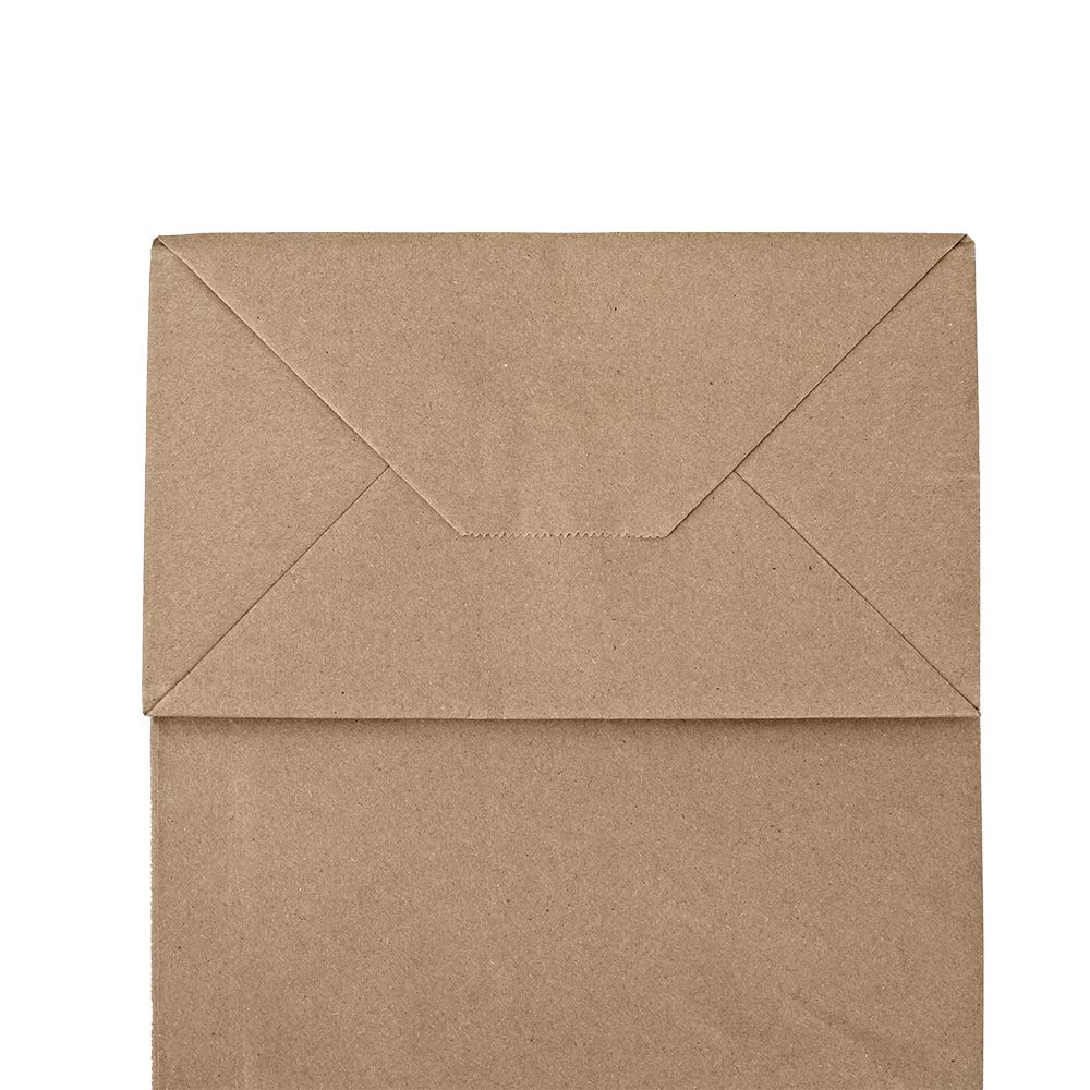 bagmad 50 Pack 8x4.75x10 inch Plain Medium Paper Bags with Handles Bulk, Brown Kraft Bags, Craft Gift Bags, Grocery Shopping Retail Bags, Birthday Party Favors Wedding Bags Sacks (Natural 50Pcs)