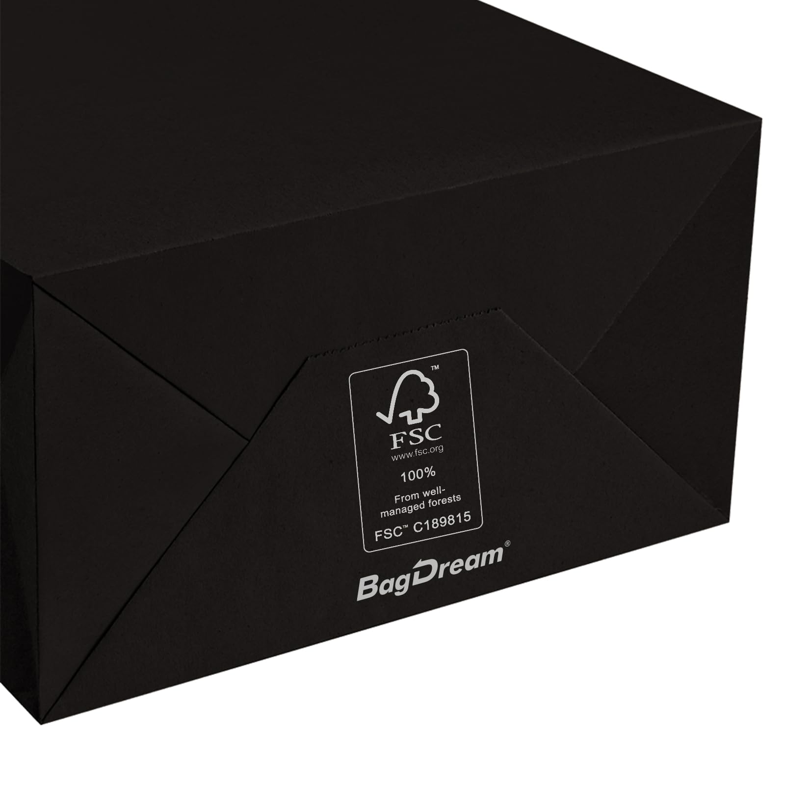 BagDream Recyclable Kraft Paper Gift Bag, 8x4.25x10.5 Inches, 100Pcs, Black, with Handles, Bulk, FSC Compliant, Multipurpose